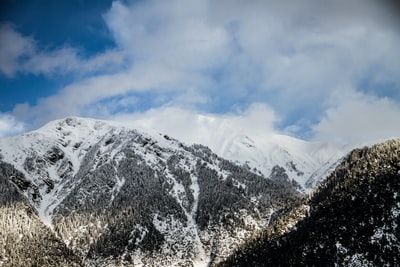 白雪在山
